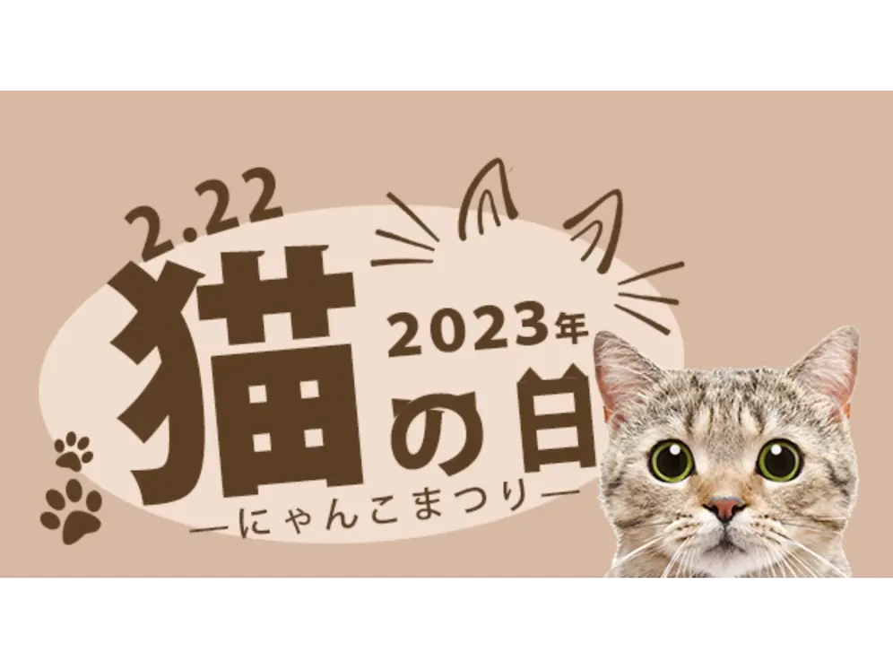 本日猫の日、oioi の「猫の日 Meets 伝統工芸」のスペシャルイベントのお知らせ🐱 猫 猫の日 And More 江戸扇子と